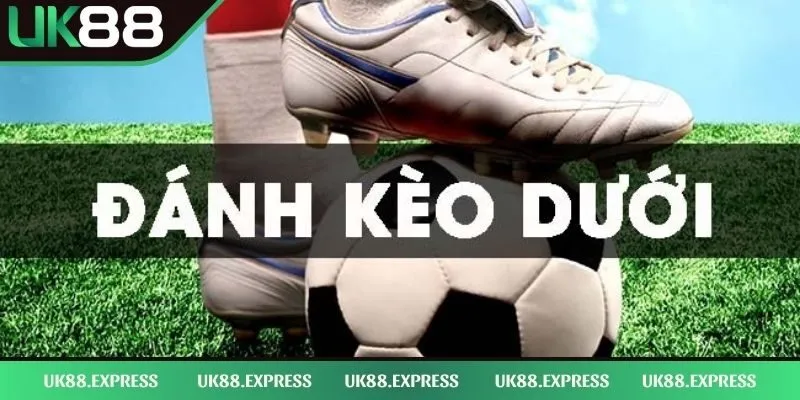 Kèo Dưới Là Gì - Top 3 Cách Trải Nghiệm Hiệu Nhất Cho Newbie 1 Khái niệm về kèo dưới là gì cụ thể cho tân thủ